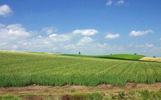 471491 (a): :1440x900